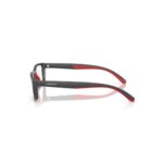 ARNETTE - Imagen 2